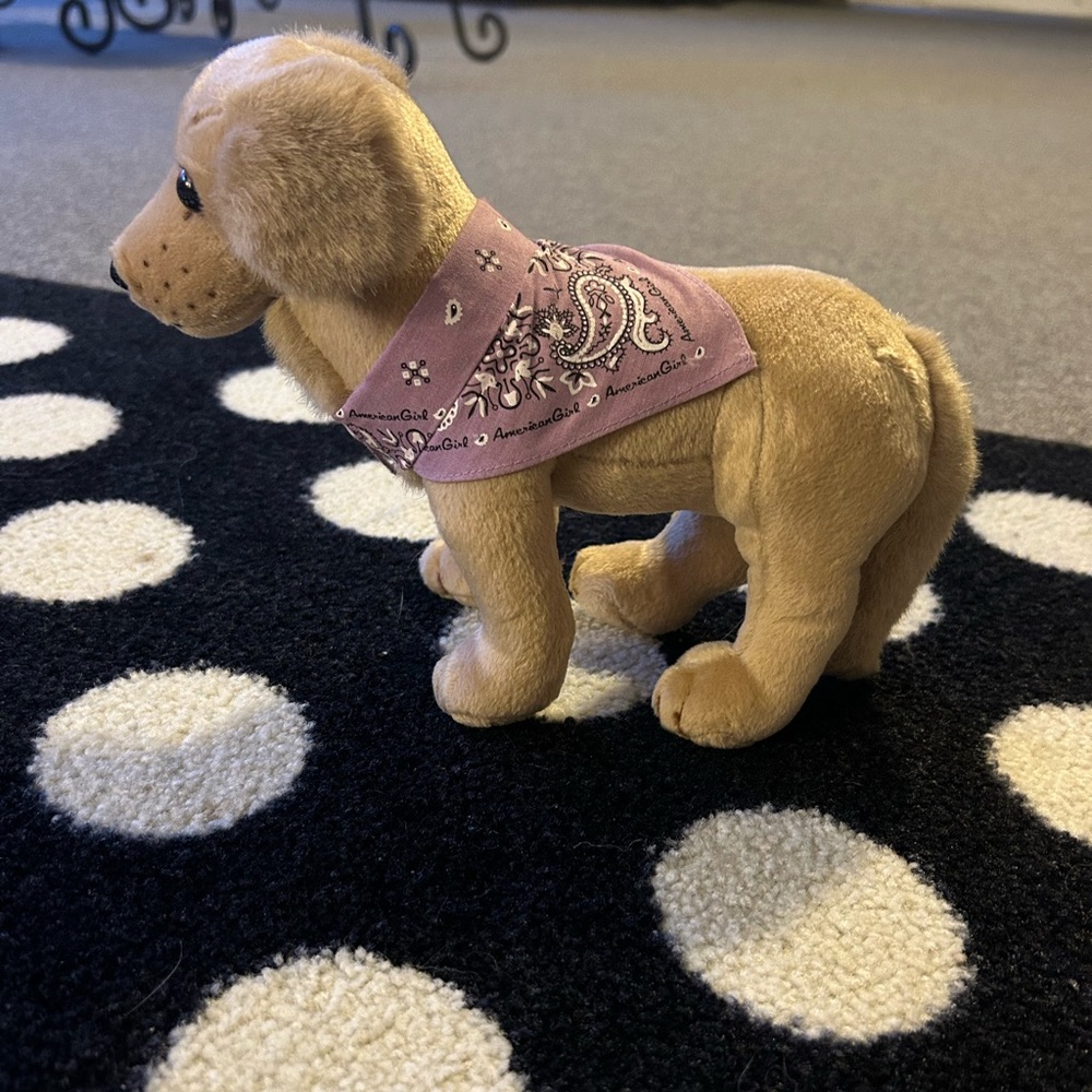 American girl dog Sandy - Picture 2 of 2